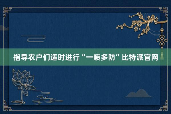 指导农户们适时进行“一喷多防”比特派官网