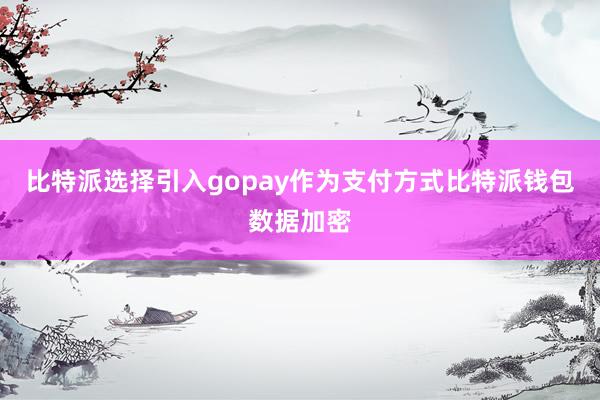 比特派选择引入gopay作为支付方式比特派钱包数据加密