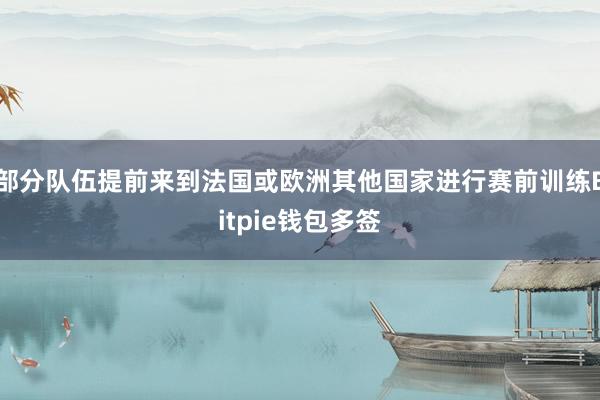 部分队伍提前来到法国或欧洲其他国家进行赛前训练Bitpie钱包多签