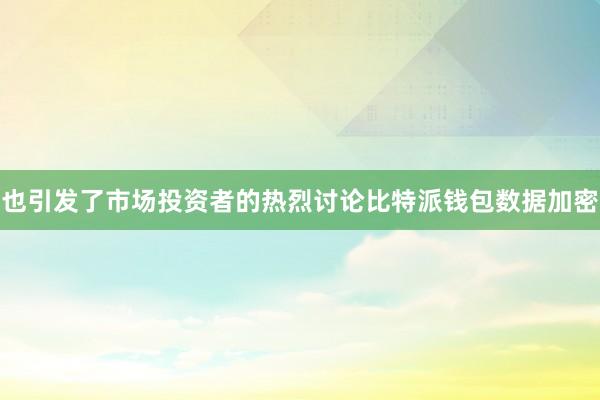 也引发了市场投资者的热烈讨论比特派钱包数据加密