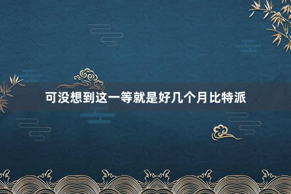 可没想到这一等就是好几个月比特派